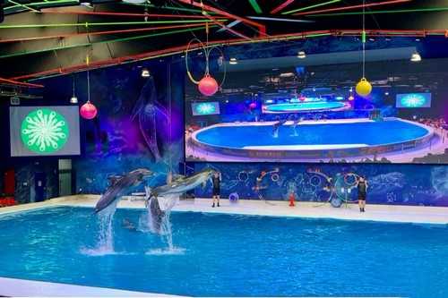 Dolphinarium